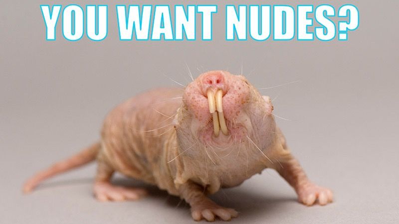 sexting texting nudes